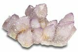 Spectacular Cactus Amethyst Crystal Cluster - South Africa #301883-1